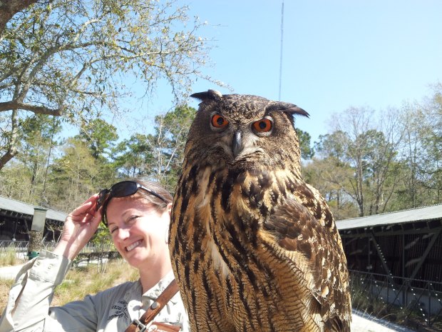 Jen and the Eurasian Eagle Owl 